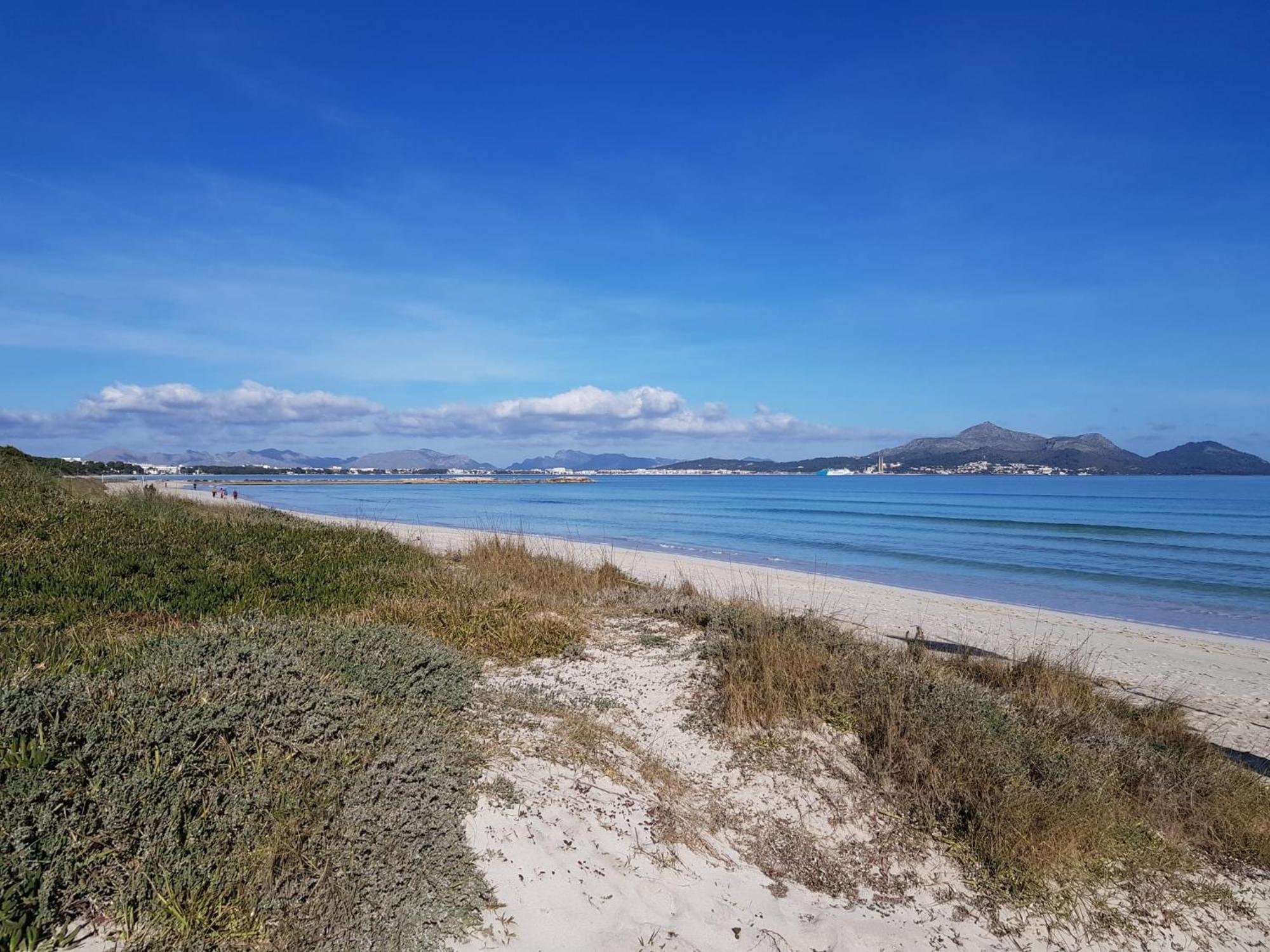 Ideal Property Mallorca - Villa Xisco Алкудия Екстериор снимка
